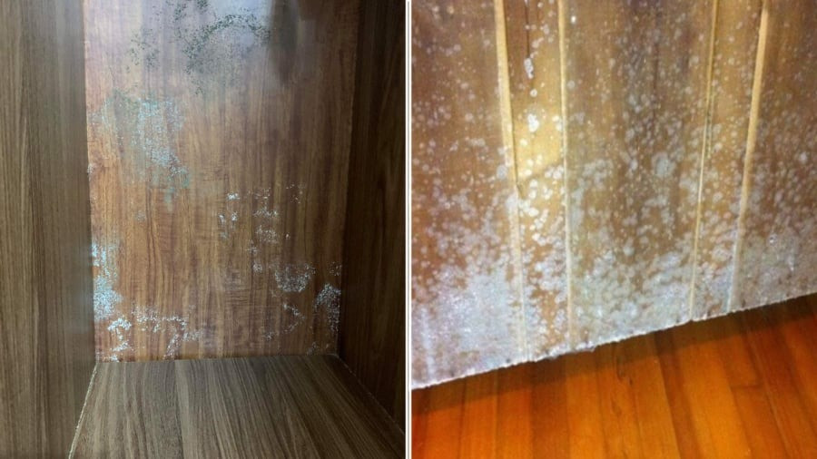  Nguyên nhân nào khiến tủ quần áo dễ bị ẩm mốc