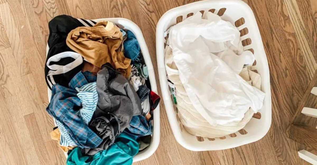 Phân loại trước khi gấp