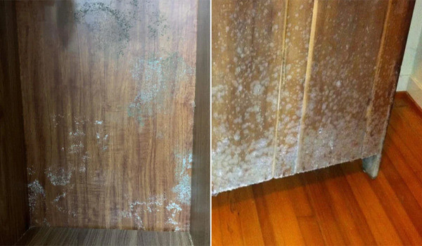 Tủ quần áo bị ẩm mốc