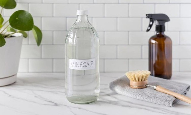 Đặt giấm trắng trong tủ