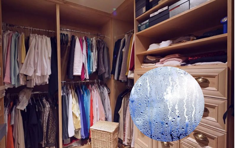 Tủ quần áo bị ẩm hoặc bí khí