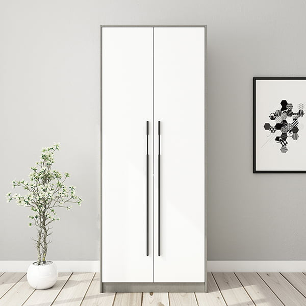  Tủ quần áo 2 cánh đơn giản, cao và gọn