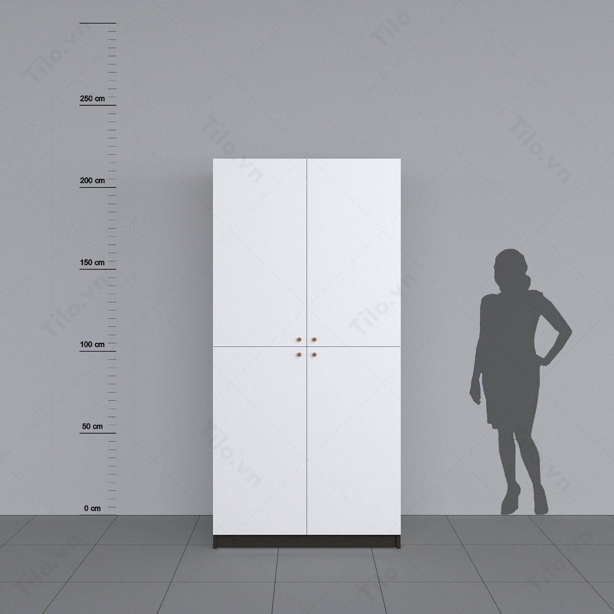tủ áo 2 cánh đẹp hiện đại